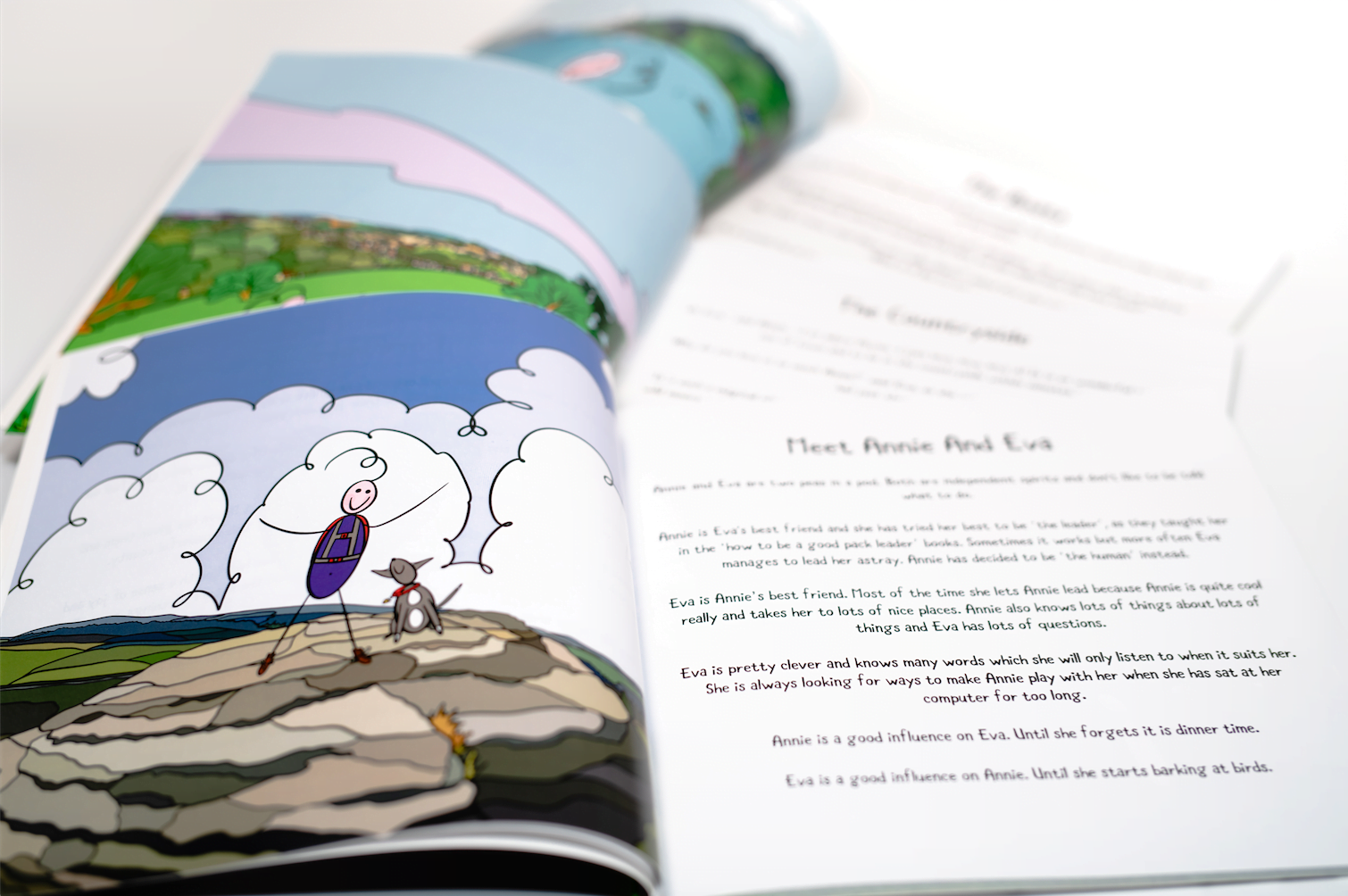 Annie and Eva Love Devon (First Edition) image 3